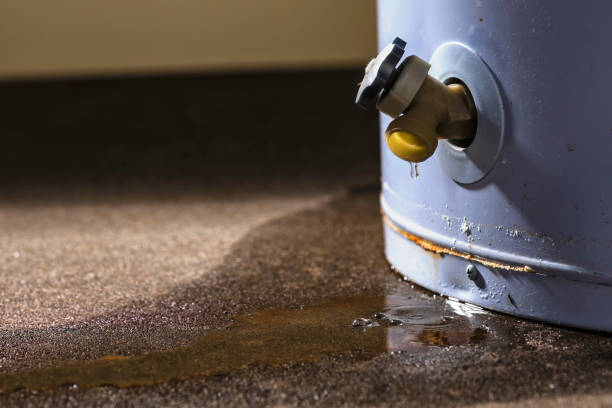 Best 24/7 water damage repair  in Seville, FL