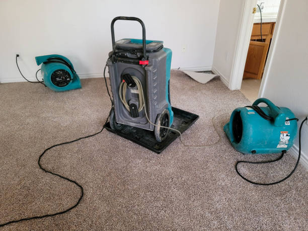 Best Flood damage cleanup  in Seville, FL
