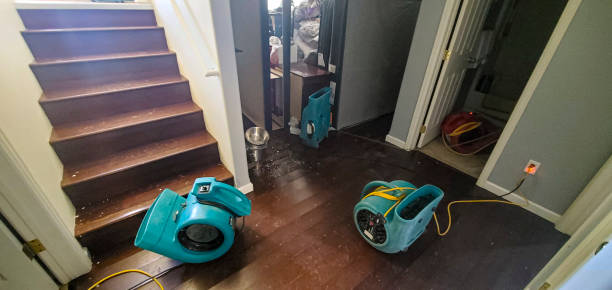 Best Fire Damage Restoration  in Seville, FL
