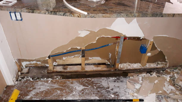 Best Water damage restoration near me  in Seville, FL