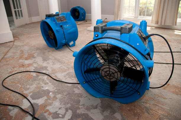 Best Residential water damage restoration  in Seville, FL