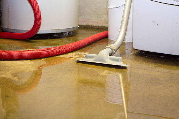 Best Residential water damage restoration  in Seville, FL