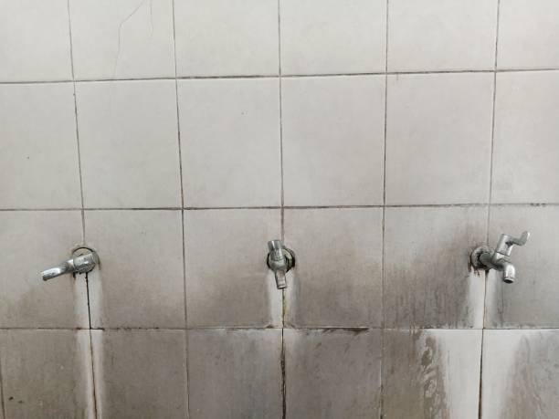 Best 24/7 water damage repair  in Seville, FL