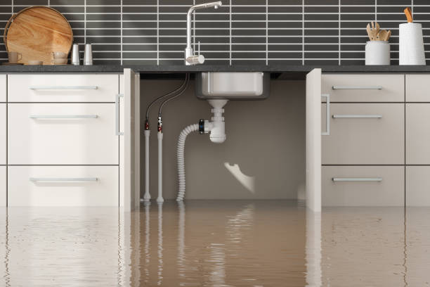 Best Local water damage restoration  in Seville, FL