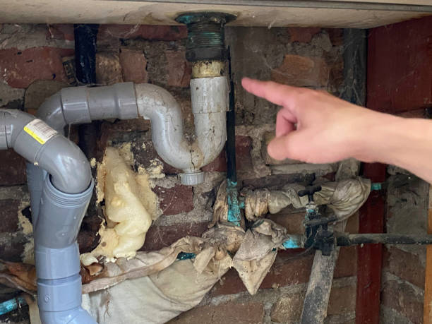  Seville, FL Water damage restoration Pros