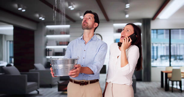 Best Mold removal after water damage  in Seville, FL